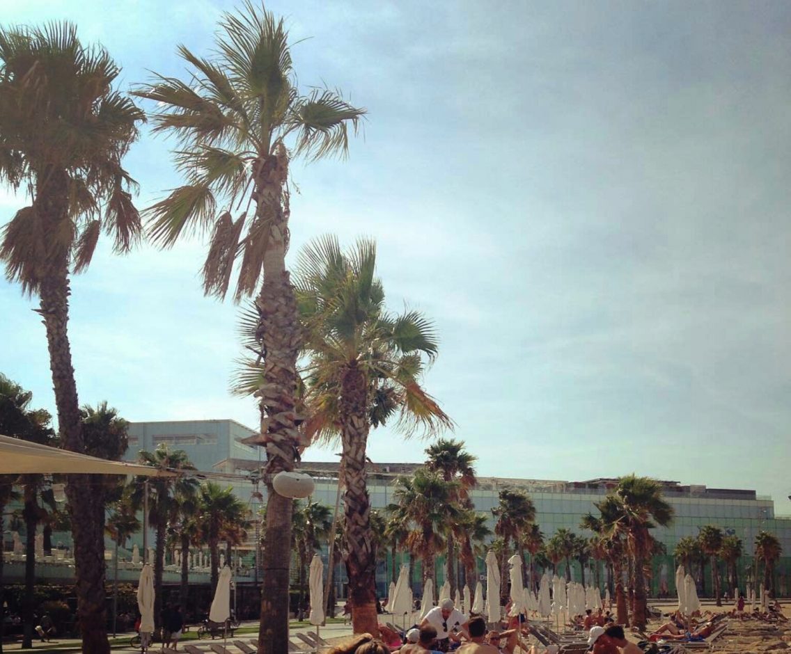 A CITY GUIDE TO BARCELONA | TOP THINGS TO DO IN THE CATALONIA CAPITAL IN SUMMER