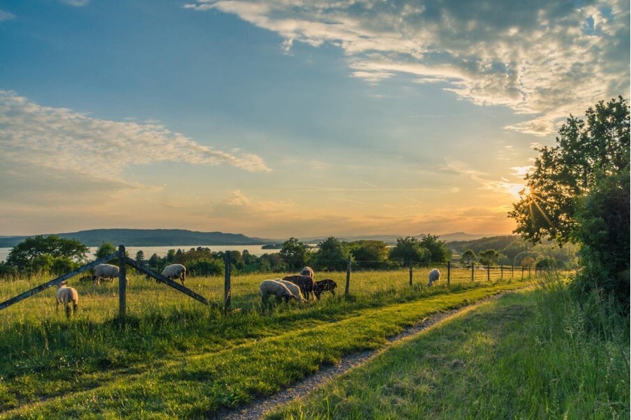 how to move to the countryside